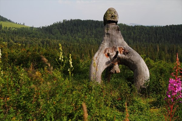 Алтайский идол.