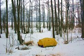 Наша палатка на льду Рдейского озера