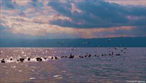 Озеро Охрид
