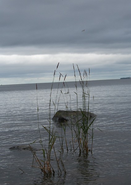 на фото: Онежское озеро в Петрозаводске