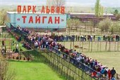 Парк львов Тайган