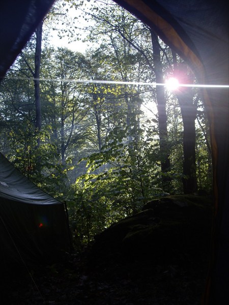 вид из палатки