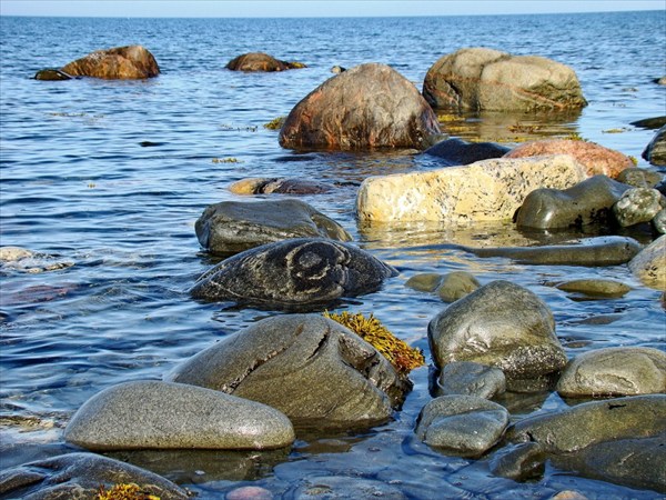 камни Баренцева моря