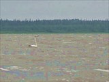 Озеро Урдюжское