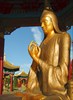 на фото: «Золотая обитель Будды Шакьямуни». Элиста.