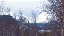 Вид на горы из парка