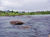 Река Поньгома, шивера