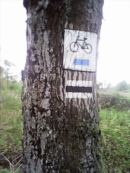 Разрешено движение велосипеда.