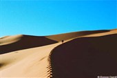Путь по гребню дюны