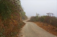 Дорога из Мечуки в Алонг