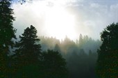 Утренний туман в Софийском ущелье