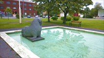 30-см бассейн для моржа