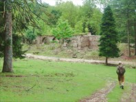 Развалины дворца князей Дадиани