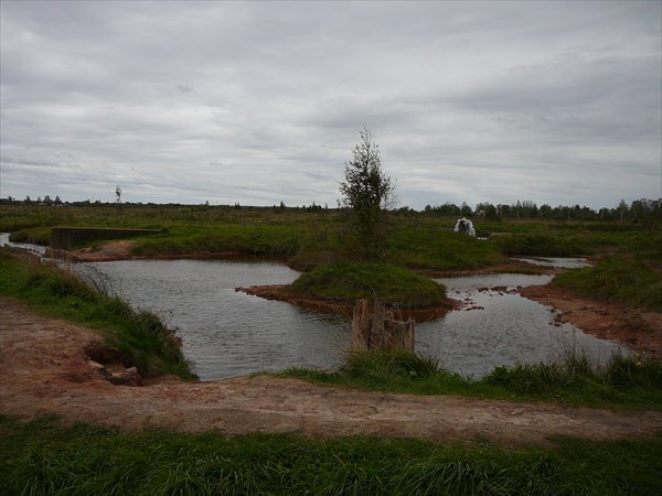 Общий вид на оба источника и ручей с плотиной